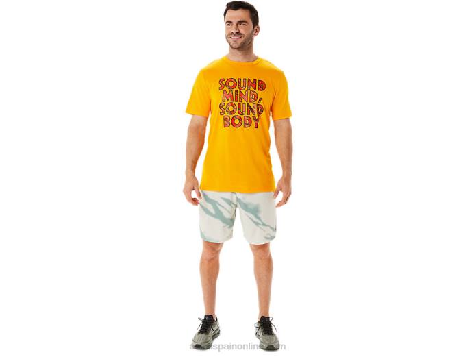 shorts de hombre de temporada con estampado integral Asics 4L68993 gris humo/gris pizarra