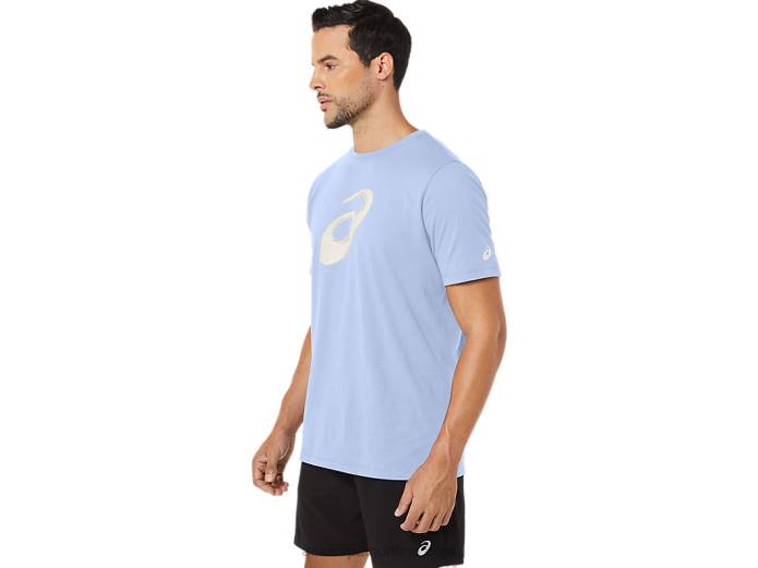 camiseta manga corta pincel Asics 4L68161 cielo suave