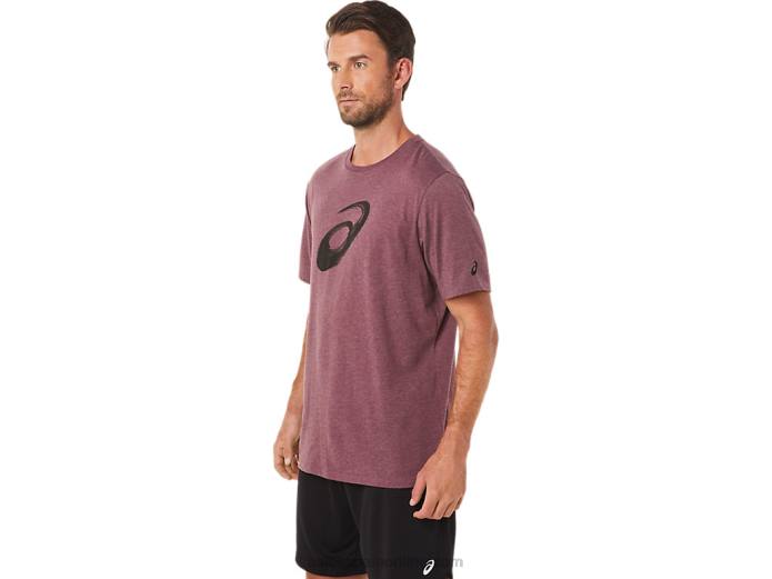 camiseta manga corta pincel Asics 4L682078 Brezo profundo de Marte