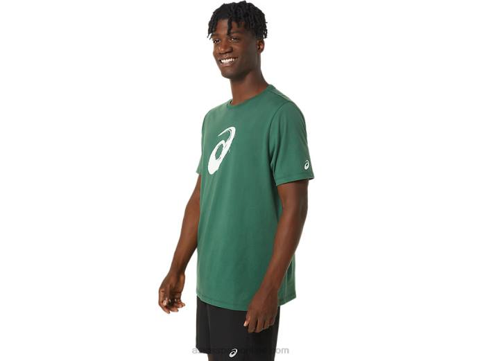 camiseta manga corta pincel Asics 4L68879 cazador verde