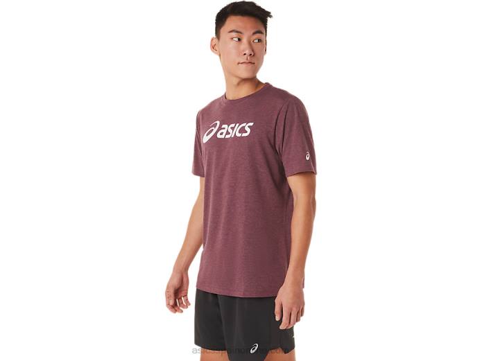 camiseta xg de manga corta con logo de lockup Asics 4L681463 Brezo profundo de Marte