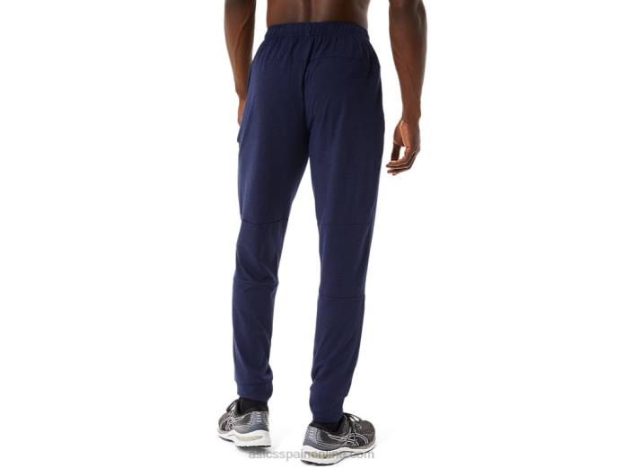 Jogger técnico para hombre Asics 4L681694 brezo chaquetón