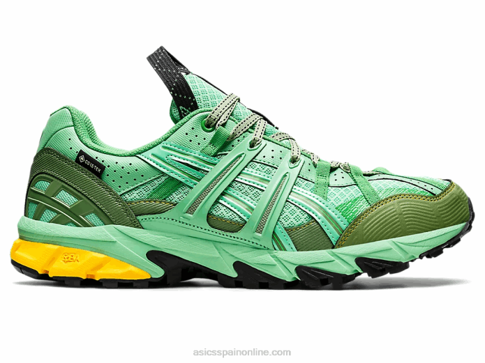 hs4-s gel-sonoma 15-50 gtx Asics 4L681248 ramo primaveral/grafito azul