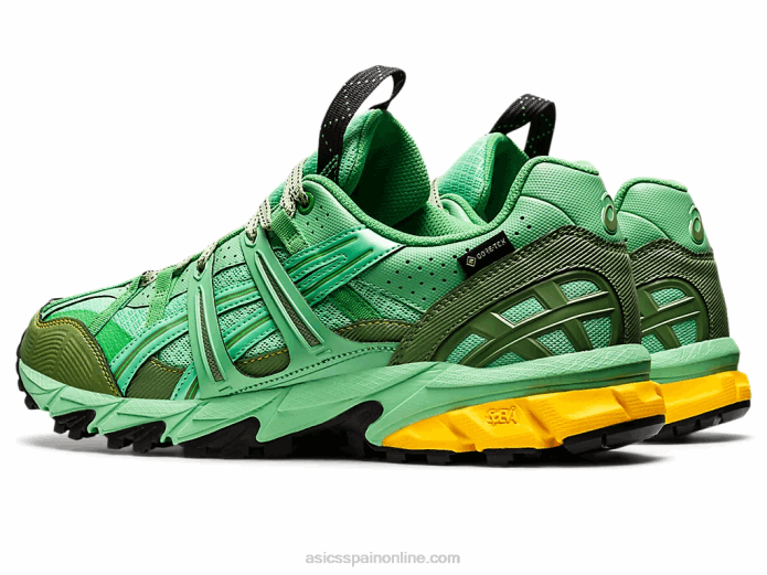 hs4-s gel-sonoma 15-50 gtx Asics 4L681248 ramo primaveral/grafito azul