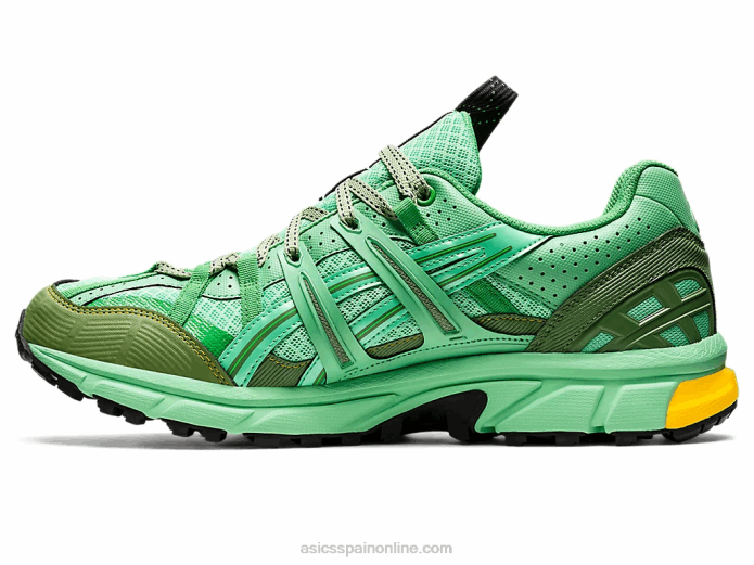 hs4-s gel-sonoma 15-50 gtx Asics 4L681248 ramo primaveral/grafito azul