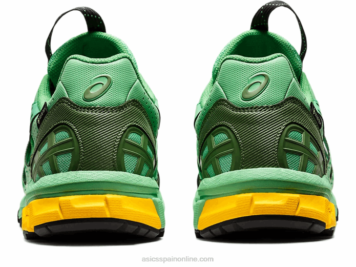 hs4-s gel-sonoma 15-50 gtx Asics 4L681248 ramo primaveral/grafito azul
