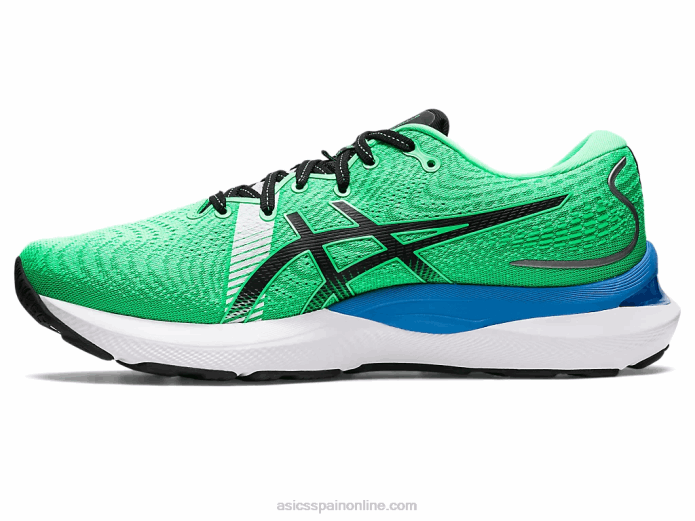 gel-cumulus 24 ekiden Asics 4L68811 hoja nueva/negro