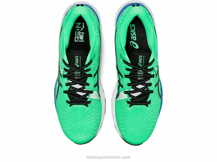 gel-cumulus 24 ekiden Asics 4L68811 hoja nueva/negro