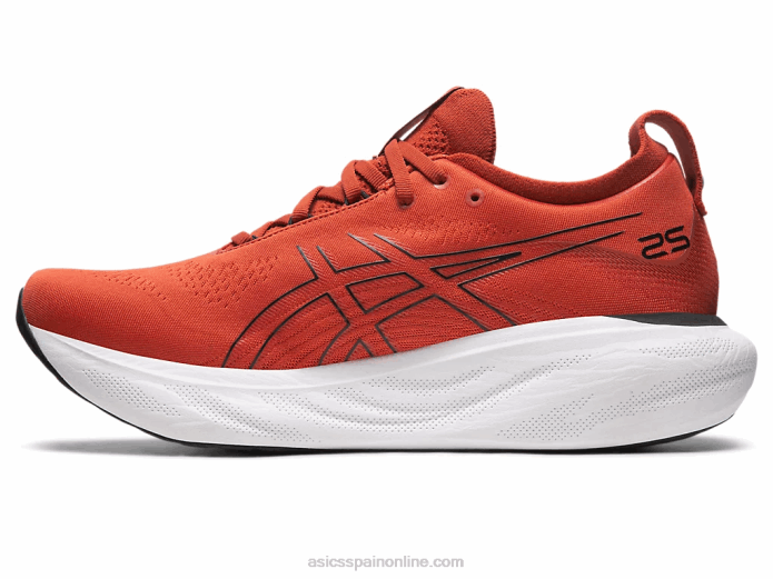 gel-nimbus 25 Asics 4L68337 latte de especias/negro