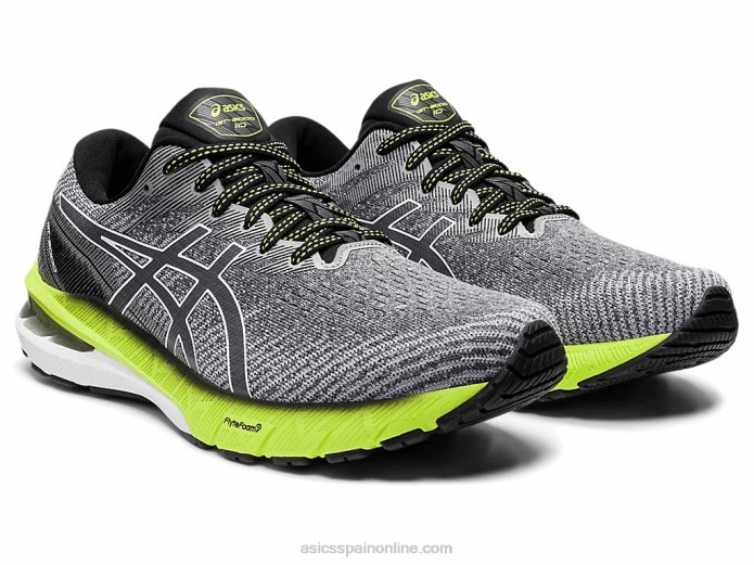 gt-2000 10 Asics 4L681475 portador gris/blanco
