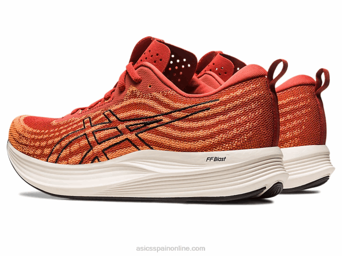 velocidad de evoride Asics 4L68501 latte de especias/negro