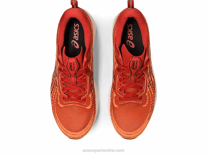 velocidad de evoride Asics 4L68501 latte de especias/negro