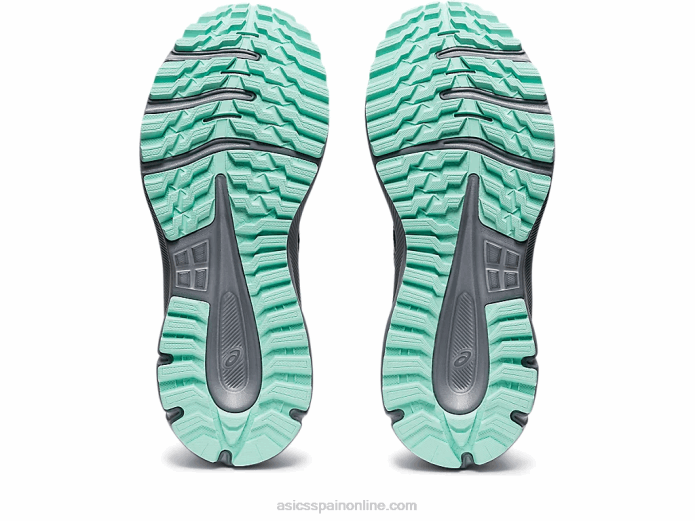 explorador de senderos 2 Asics 4L683730 negro/abedul