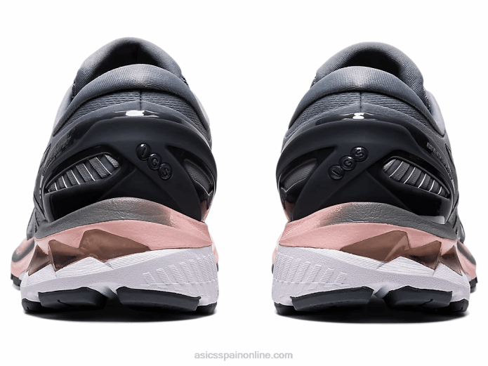 gel-kayano 27 ancho Asics 4L684154 yeso/plata pura