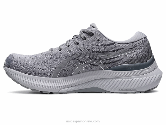 gel-kayano 29 Asics 4L682969 yeso/plata pura