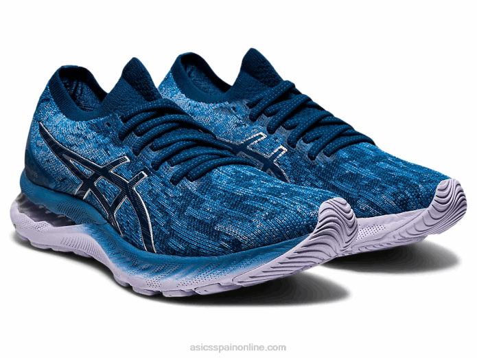 punto gel-nimbus 23 Asics 4L683922 seda gris/azul mako